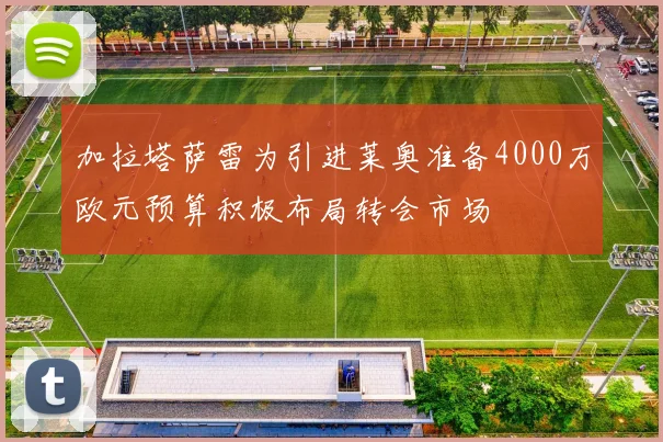 加拉塔萨雷为引进莱奥准备4000万欧元预算积极布局转会市场